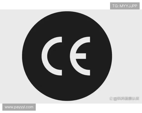 亚博YB官方入口：最新登录指南与安全保障措施详解