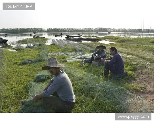 下载ag捕鱼图官方地址的官方渠道及安全验证方法