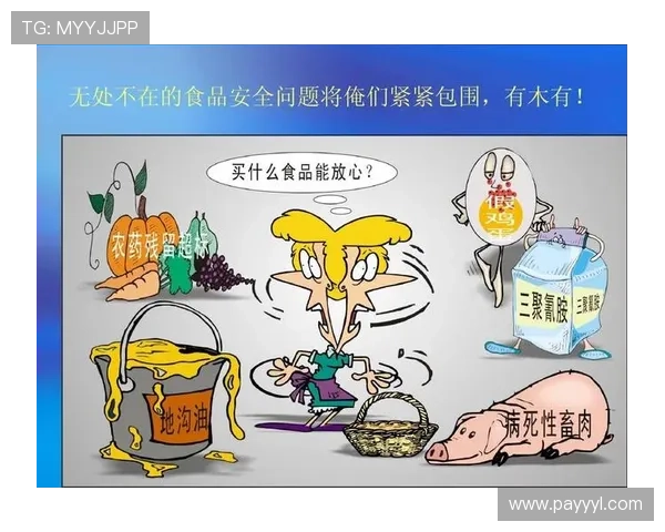 PA8网站安全保障措施详解，确保用户信息安全无忧