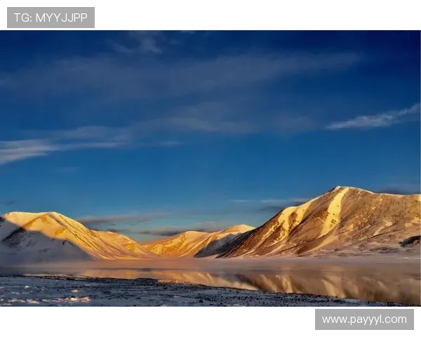 开云Kaiyun在线官网新用户注册流程完整指南及常见问题解答