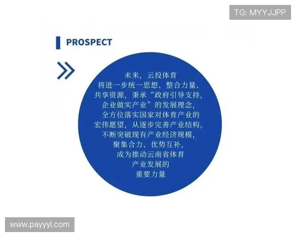 开云体育集团娱乐平台推动体育与娱乐的深度融合,创造全新的休闲娱乐方式 开云体育集团娱乐平台推动体育与娱乐的深度融合,创造全新的休闲娱乐方式