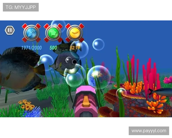 dg视讯厅官网多样化的真人娱乐游戏，满足不同玩家的多样需求